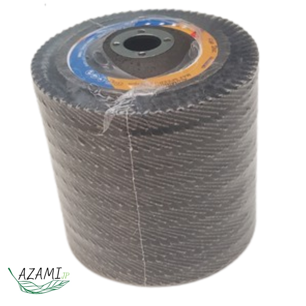 Đĩa Nhám Xếp 100mm, Đá Ráp Xếp Nắp Sắt Dùng Cho Máy Mài Cầm Tay Chất Lượng Giá Tốt