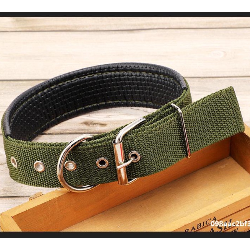 VÒNG CỔ CHO CHÓ CÓ ĐỆM  (BÁN SỈ: 10 SỢI DÂY) -  LOVE PETS SHOP