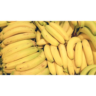 CÂY GIỐNG CHUỐI LABA [ ĐẶC SẢN LÂM ĐỒNG ]