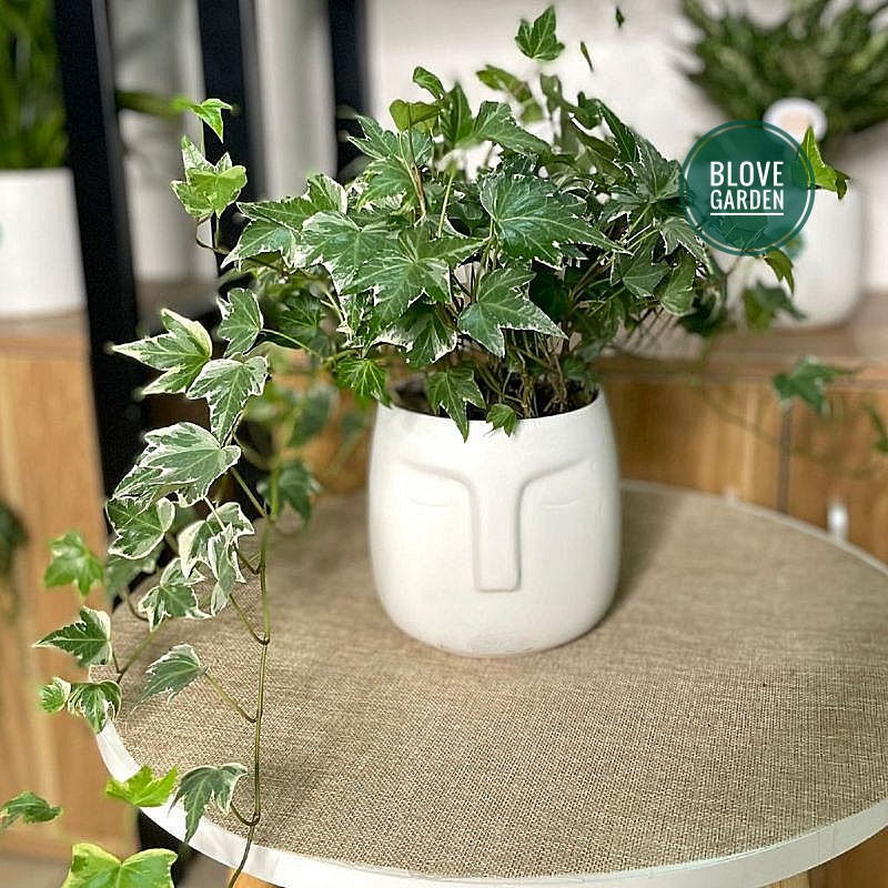 Gốm sứ bát tràng cao cấp,Chậu sứ hình mặt người, decor nội thất văn phòng đẹp, phù hợp trồng cây để bà cây cảnh mini