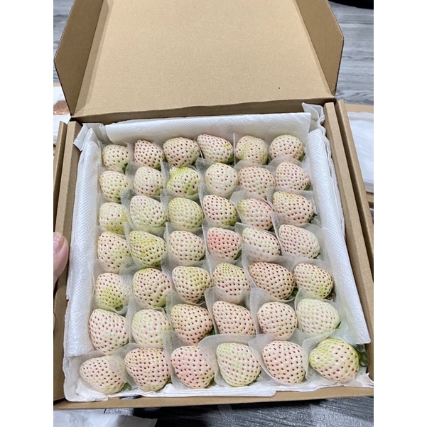 Dâu Bạch Tuyết Size 20 trái Thơm Siêu Ngọt