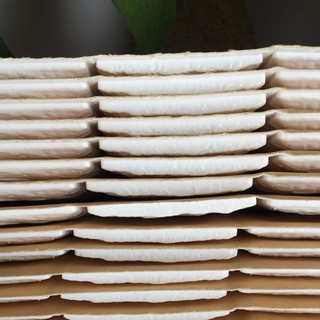Combo 10 miếng xốp dán tường 3d màu trắng