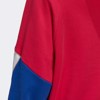 Áo Adidas Hoodie Big Trefoil Outline Colorblock  - GE6226 - Hàng Chính Hãng