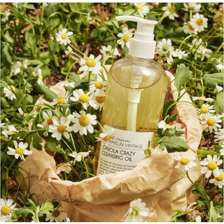 Dầu tẩy trang hoa cải Graymelin Vintage - Canola Crazy Cleansing Oil