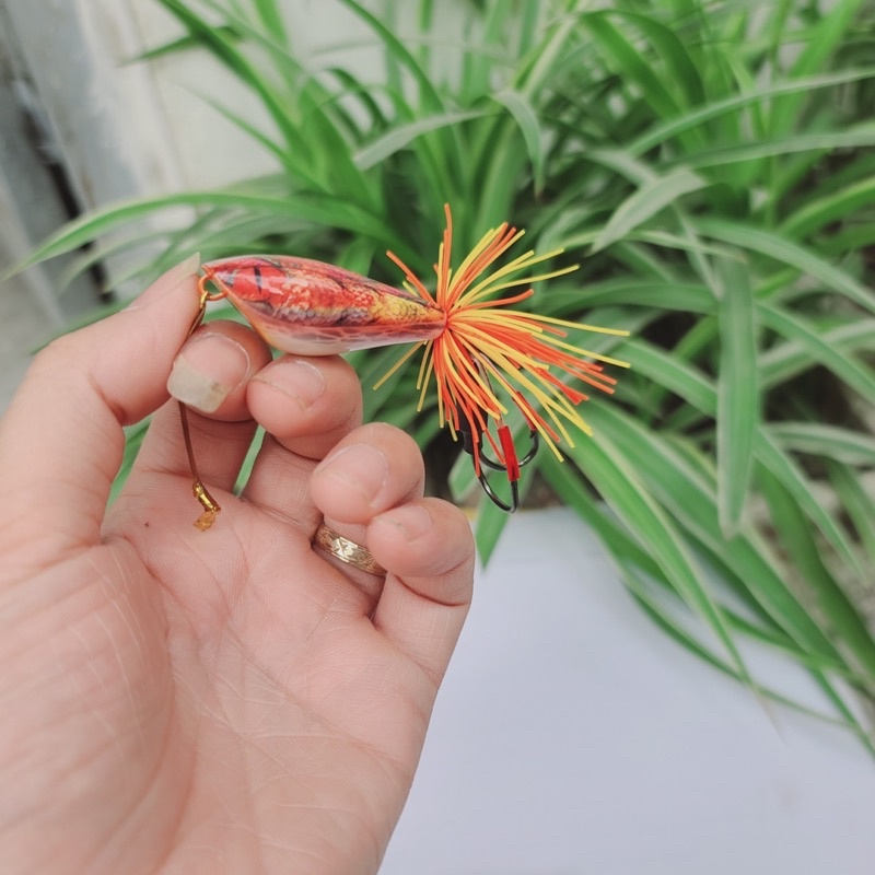 Nhái nhảy đầu rắn sơn 3D