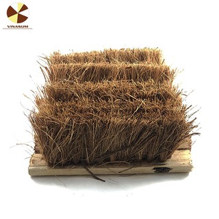 24 Nhám chổi cước / Nhám Chổi xơ dừa Vinasum