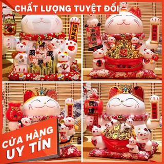 Mèo thần tài vua mèo đại gia