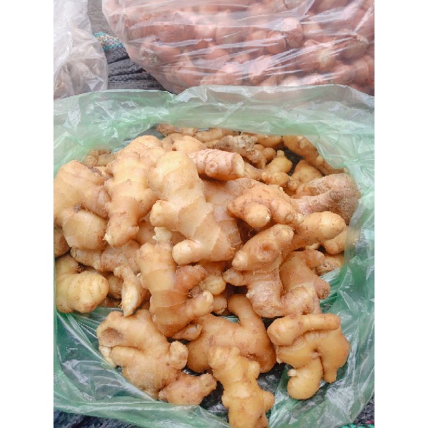 1kg GỪNG TA RUỘT VÀNG MIỀN BẮC