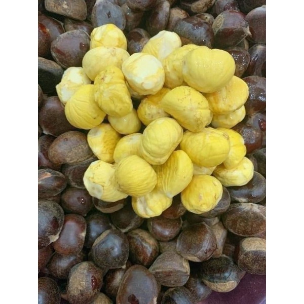 1KG HẠT DẺ TƯƠI BÓC SẴN VỎ ĐỂ NẤU HẦM LÀM SỮA HẠT CHIÊN MẬT ONG SIÊU NGON