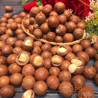 Hạt Macca Nứt Vỏ 500g  - Macadamia, Mắc Ca Loại 1 - DAV024