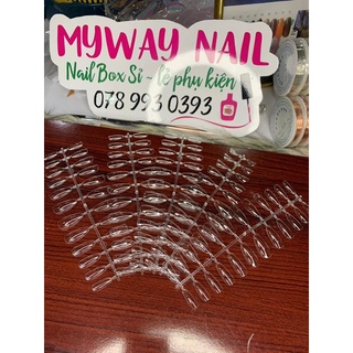 móng úp Nailtips From Bầu