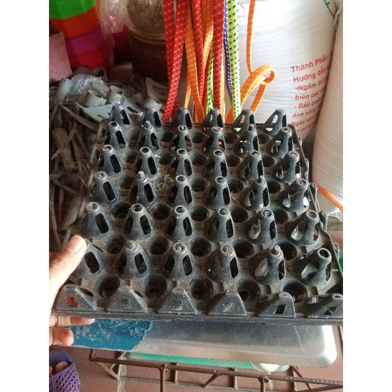 Khay để trứng gà,trứng vịt