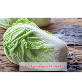 Hạt giống rau cải thảo