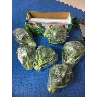 Bọc thực phẩm cuộn to 450m*30cm .