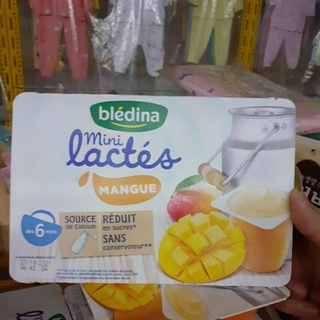 sữa chua hữu cơ bledina Pháp ( đủ các vị )