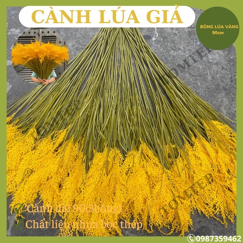 combo 10 cành lúa vàng 3 bông dài 90cm (chuyên sỉ ship ngay)