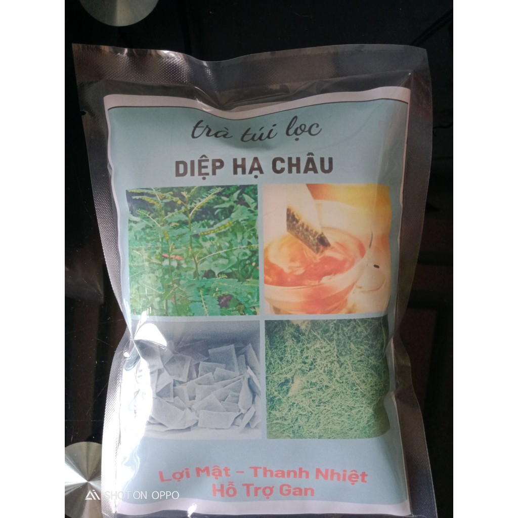 Trà Diệp Hạ Châu - 40 túi lọc, Thanh Nhiệt, Giảm Mụn Nhọt