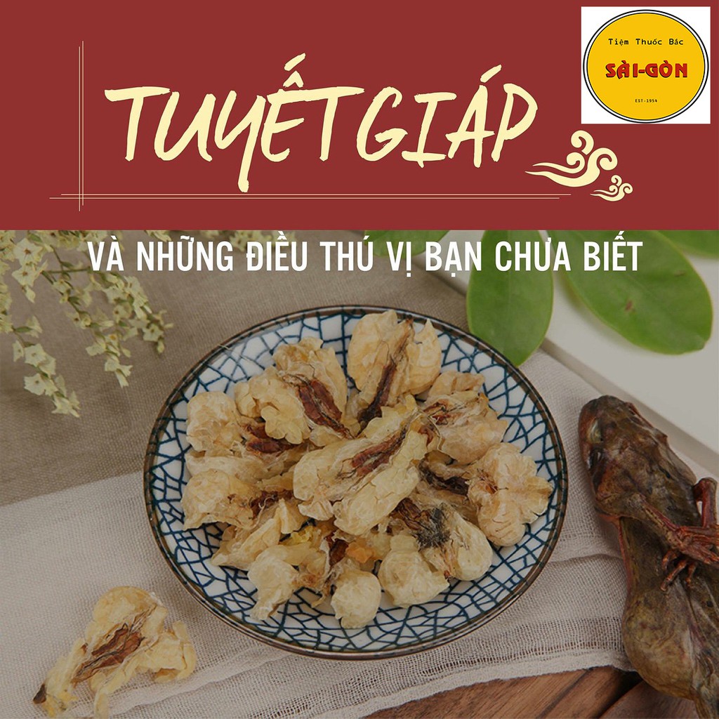 Tuyết Giáp Tây Tạng 20gram
