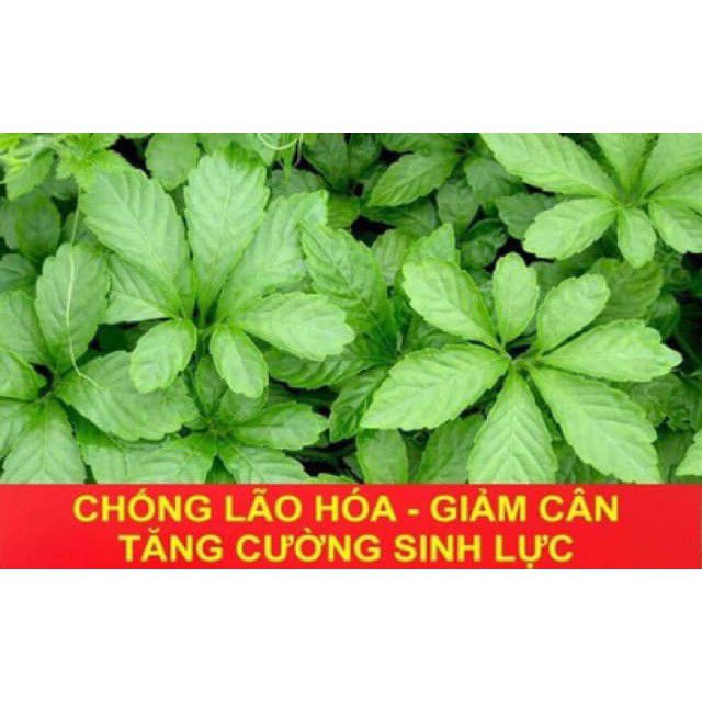 200g giảo cổ lam rừng 5 lá chuẩn hòa bình
