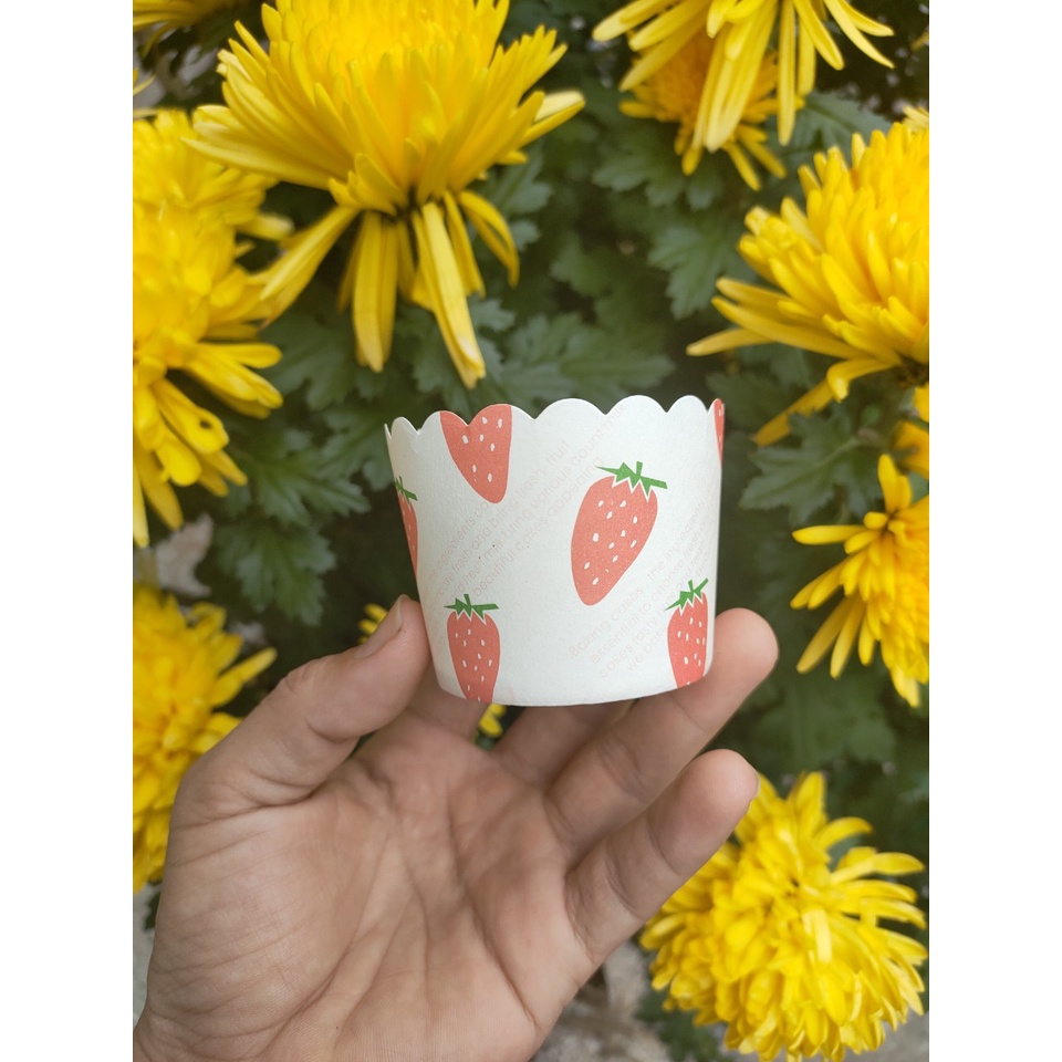 Ly giấy cupcake cứng JS