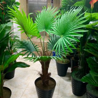 Cây cọ giả 1,3met ( không kèm chậu)
