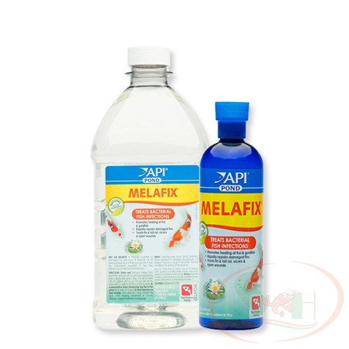 Dung Dịch Sát Khuẩn API Pond Melafix Cao Cấp