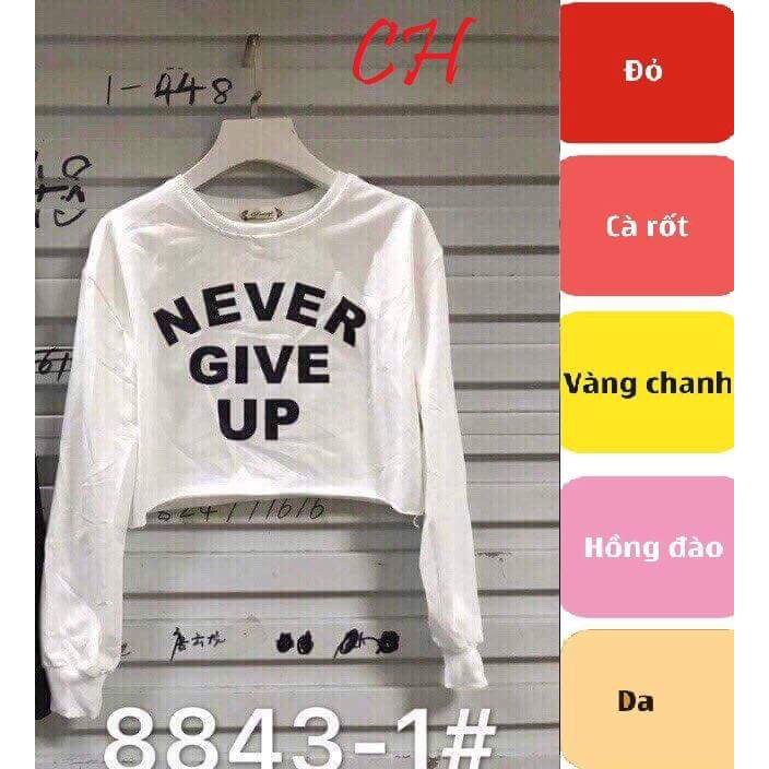 [FREESHIP ĐƠN TỪ 50K] Áo crotop chữ ngắn tay CH2108