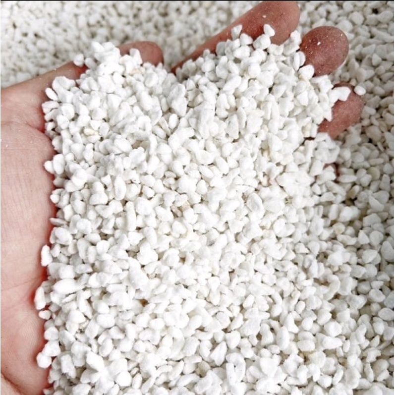 1Kg Đá Perlite trộn giá thể xương rồng sen đá