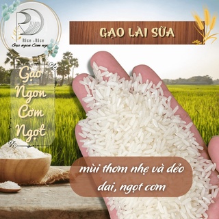 Túi 5KG Gạo Lài Sữa - Mùi thơm nhẹ và dẻo dai, ngọt cơm - Rice&Rice