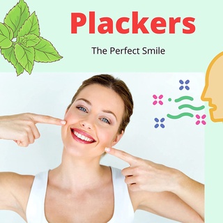 Tăm xỉa răng nha khoa Plackers Micro Mint Dental