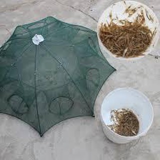 [SALE SẬP SÀN] [Giá Sỉ] LƯỚI Ô BÁT QUÁI 8 CỬA ĐÁNH BẮT TÔM CÁ