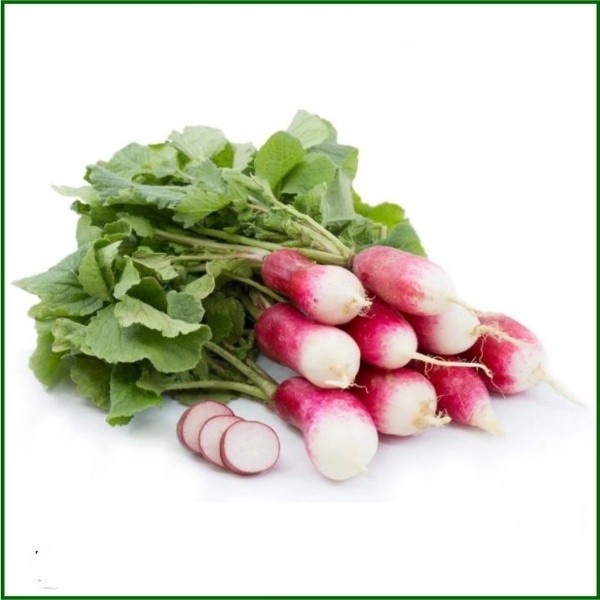 Hạt giống củ cải trắng hồng - rau củ quả trồng chậu,chịu nhiệt 4 mùa giòn ngọt nảy mầm cao 1gr RADO 505