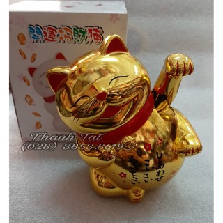 MÈO CHIÊU TÀI MAY MẮN