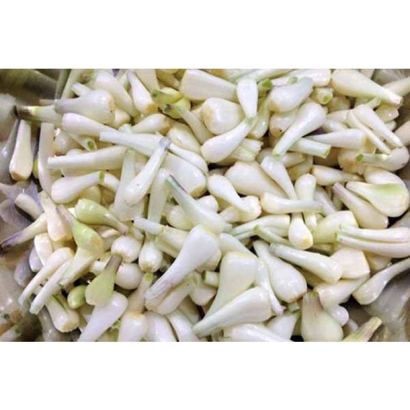 Củ Kiệu Tươi Làm Sạch