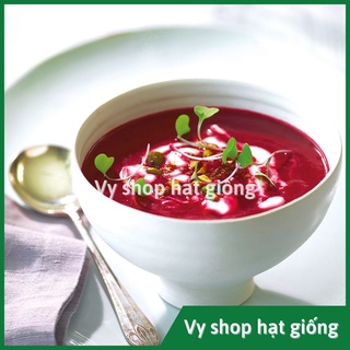 Hạt giống củ dền đỏ cao sản gói 50 hạt