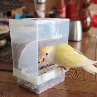 Khay Đựng Thức Ăn Tự Động Cho Chim Cảnh