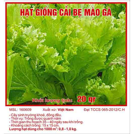 Hạt giống cải bẹ mào gà