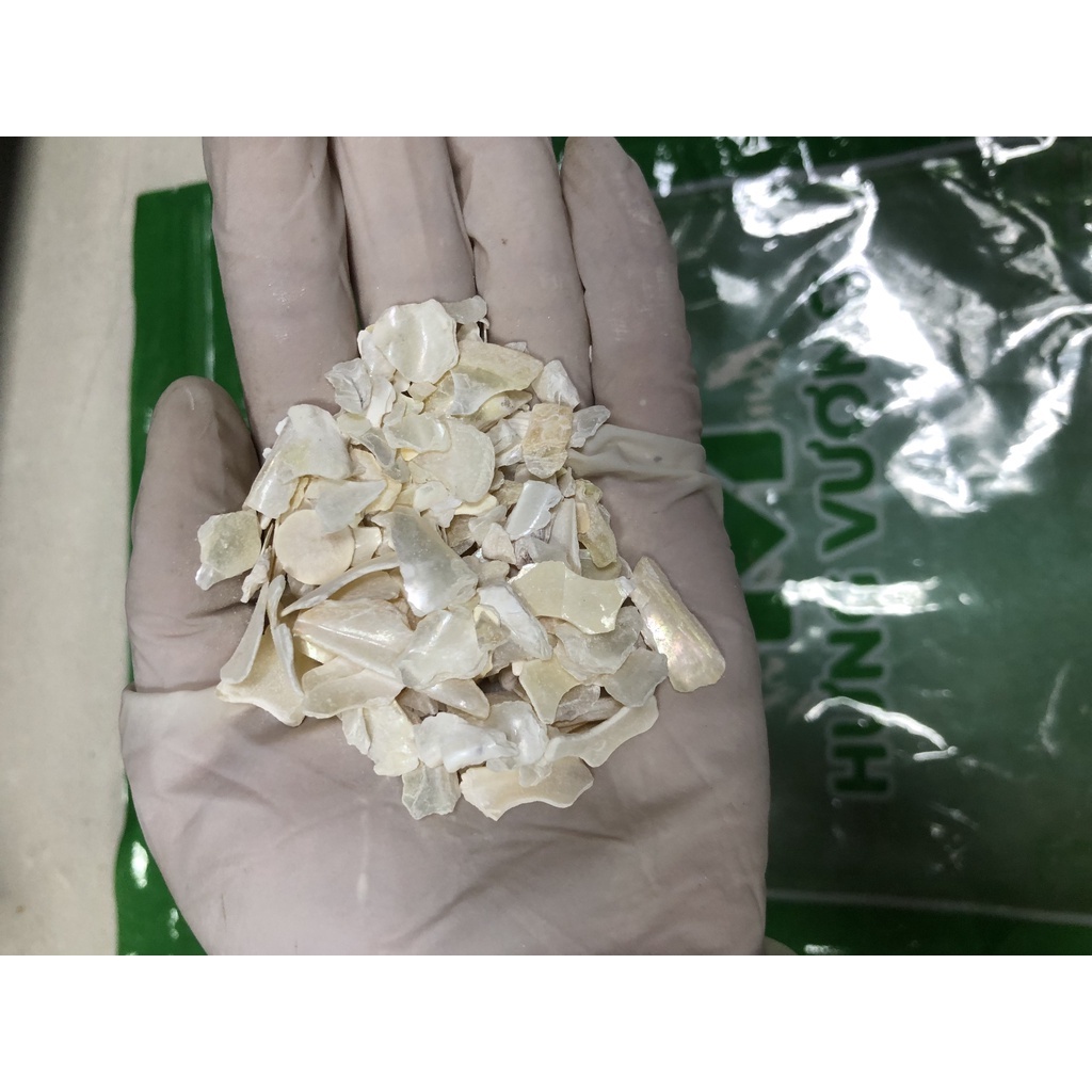 300gr Trân Châu Mẫu