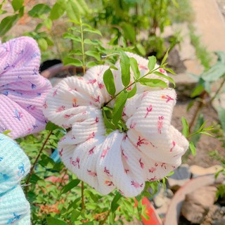SRUNCHIES HOA HÀN QUỐC