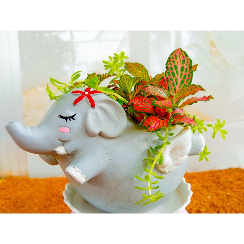 Chậu Thú Composite Đã Mix Cây