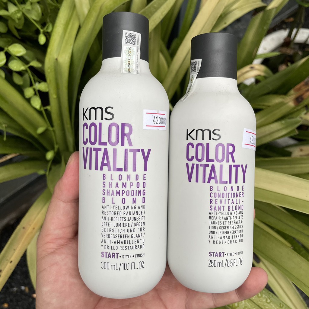 Dầu gội xả khử sắc tố vàng KMS COLORVITALITY BLONDE 300ml/250ml