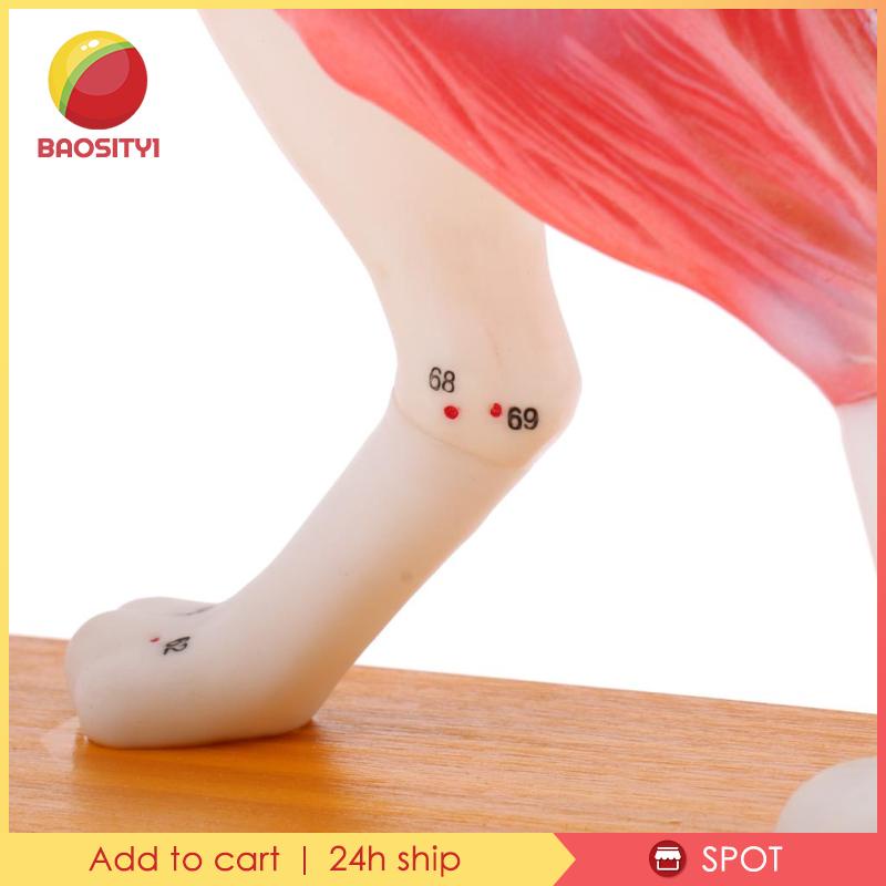 Bộ Dụng Cụ Học Tập Cho Cún Cưng [Baosity] [Baosity]