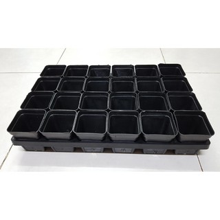 Khay nhựa đen 24 lỗ và gồm 24 chậu 7x7 đen