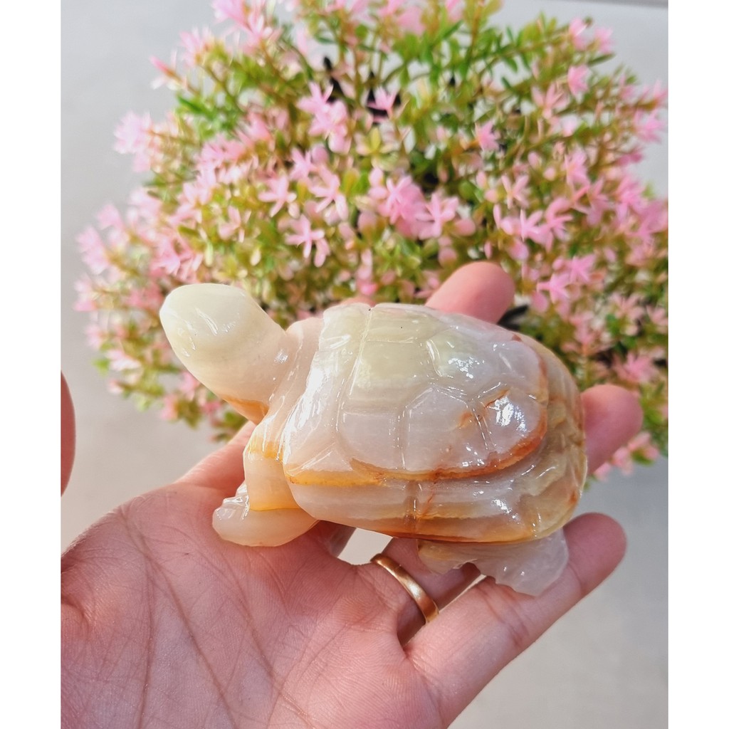Cụ Rùa ngọc Pakistan bằng đá tự nhiên size 8cm