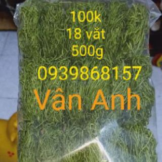Mật ong hoa cafe