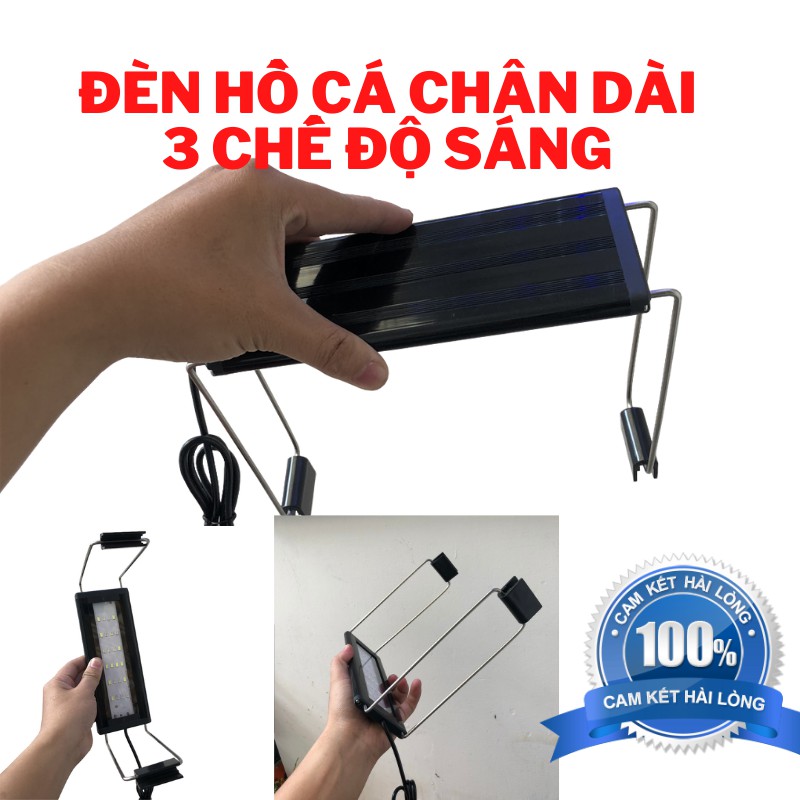 Đèn bể cá ĐỔI MÀU CHÂN CAO dành cho hồ cá hồ thuỷ sinh