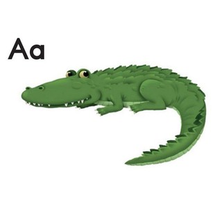 flashcard oxford phonics world 1+2+3+4+5