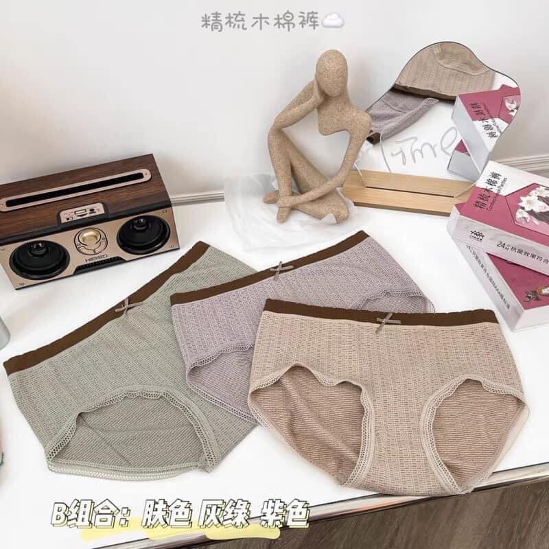 Combo 10 Quần Lót Thông Hơi Cotton 3313, Quần Lót Thông Hơi