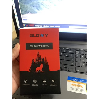 SSD 120G Gloway - Chính hãng