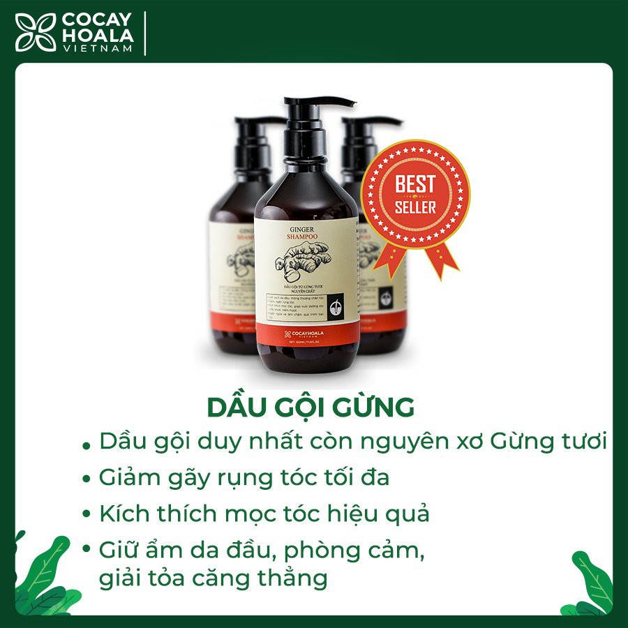 [GIÁ TỐT NHẤT] Dầu gội thảo dược hữu cơ Gừng Tươi - Phục hồi tóc hư tổn - Giảm tóc gãy rụng hiệu quả